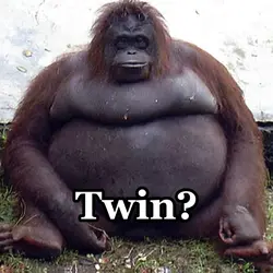 Fat monkey twin
