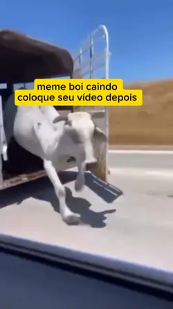 meme boi caindo 