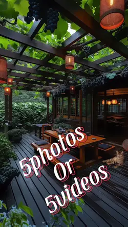 5photos/videos