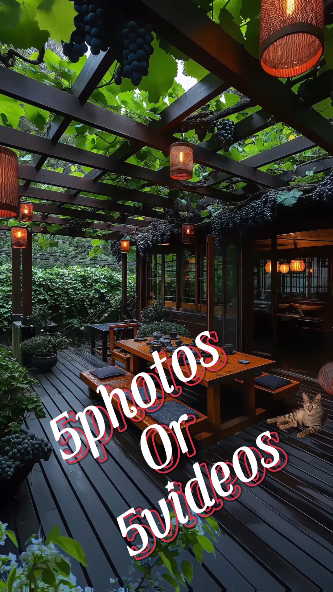 5photos/videos