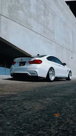 TOP TEMPLATE [ car ]