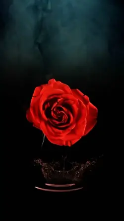 Beautiful Flower 