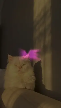 lyircs under the in-