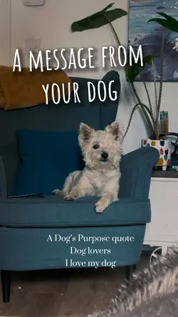 Your dog’s love
