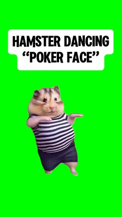 HAMSTER DANCING
