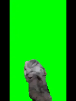 meoheadachew