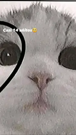 Casi 14 añitos