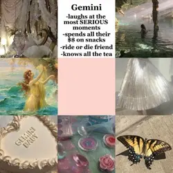 Gemini ♊️ 