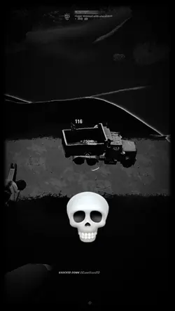 Skull edit