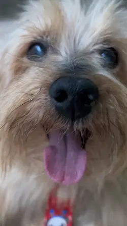 De banho tomado ❤️