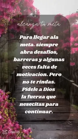 alcanza tu meta