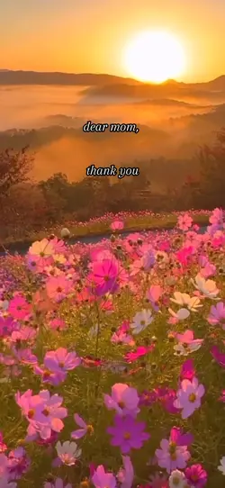 Dear mom, mothersday