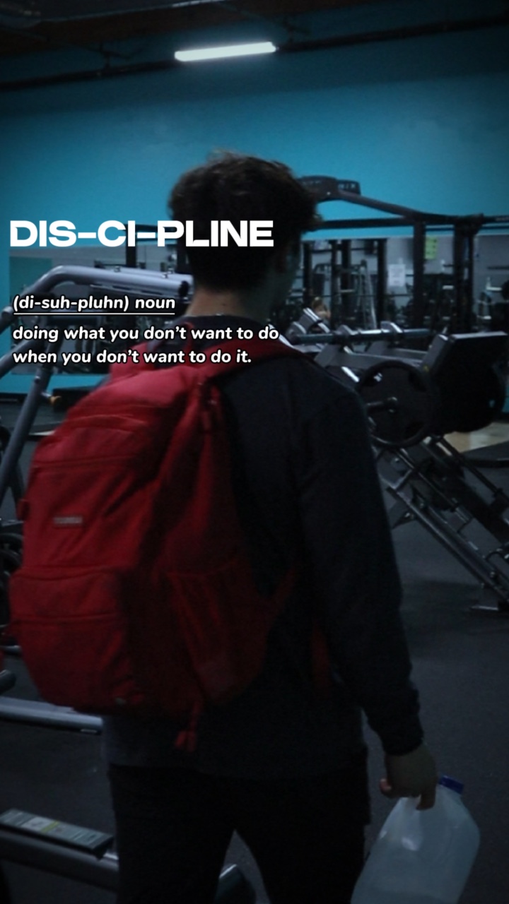Disiplin