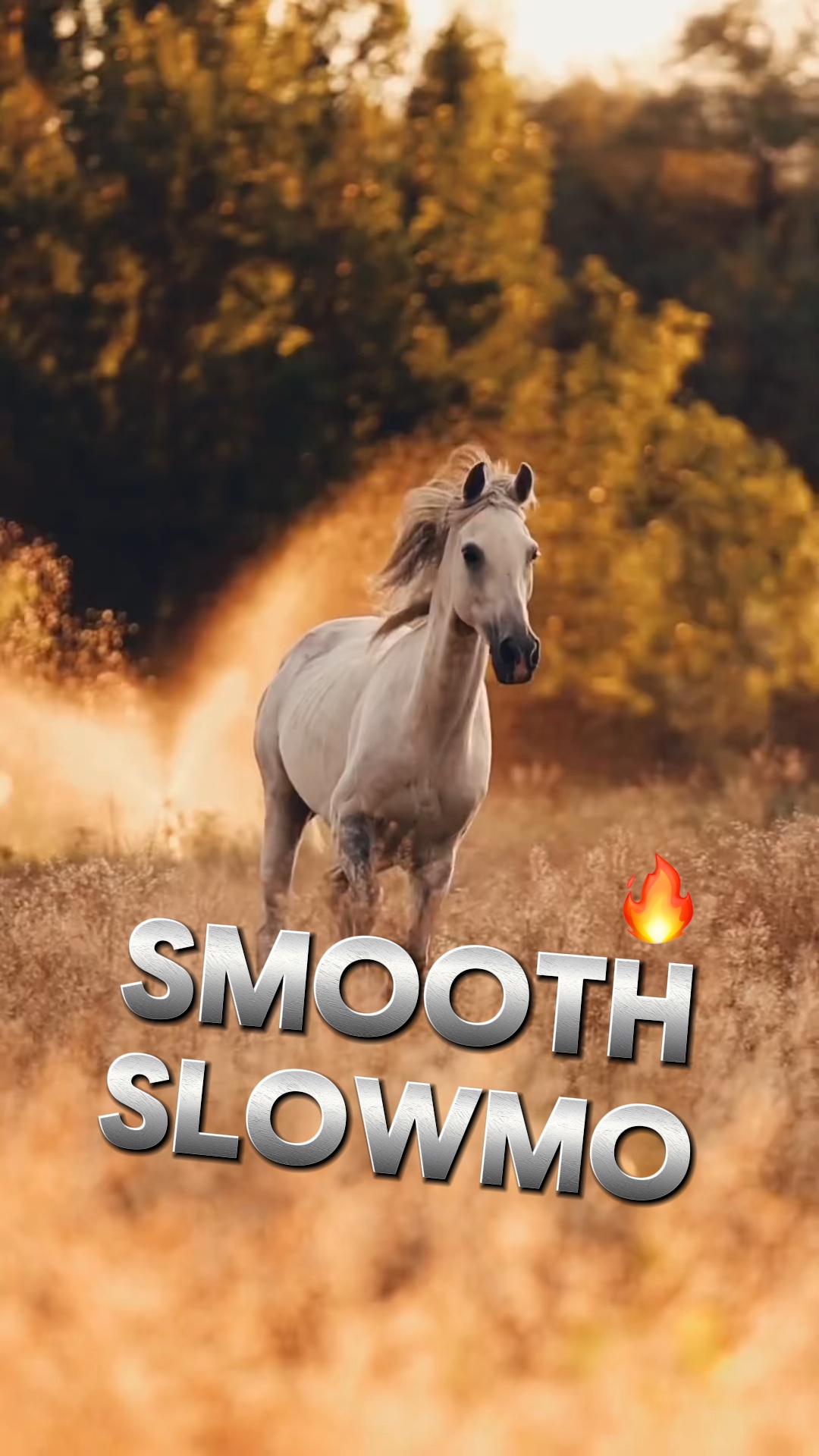 Smooth slowmo