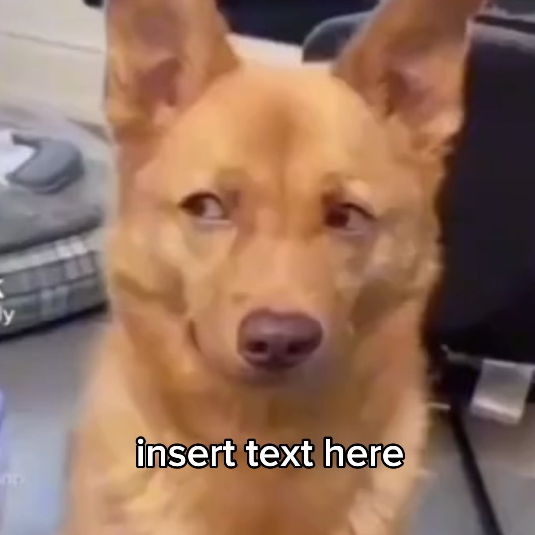 insert text here
