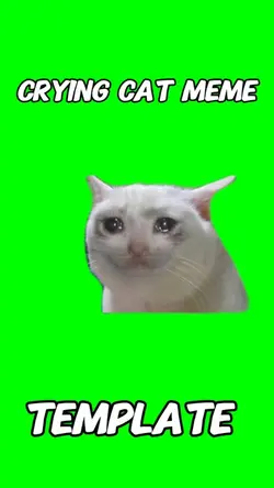 Crying Cat Meme