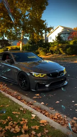 BMW Linda 