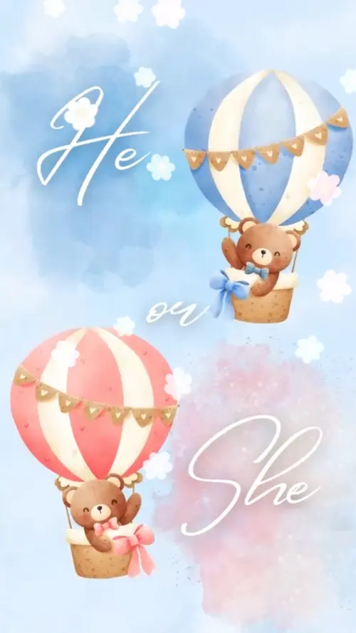 Gender Reveal 