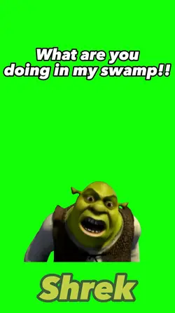 Shrek - WAYDIMS