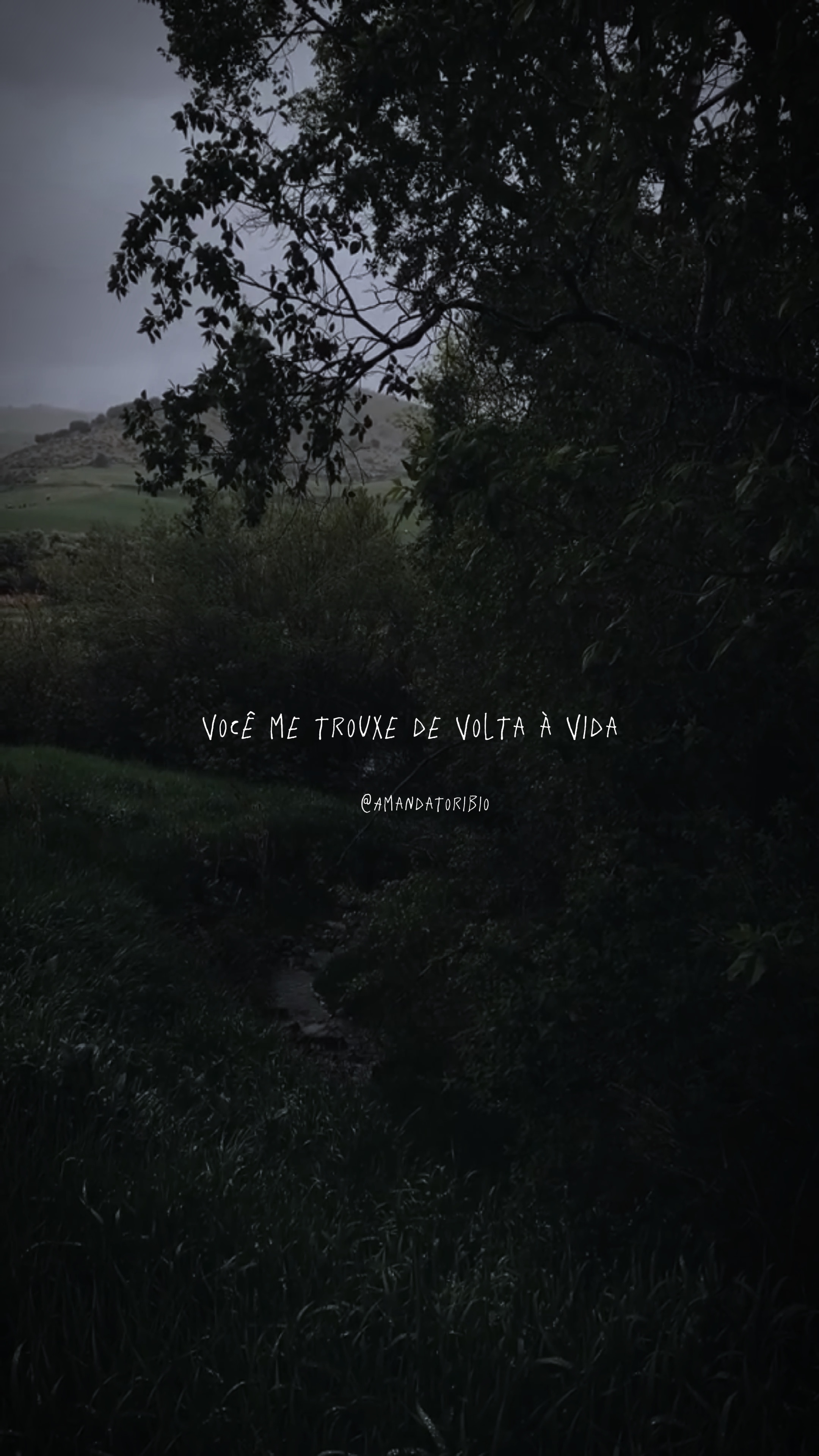 Você me trouxe…