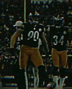 TJ Watt 