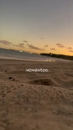 MODELO MOMENTOS