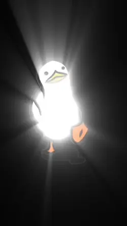Circus duc