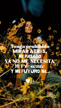 Frases y Reflexiones