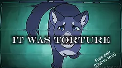 Warrior cat edit 