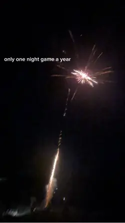🇺🇸🦅