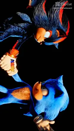 sonic edit