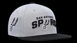 Spurs Fan