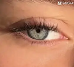 cry the most tears