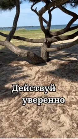 Природа