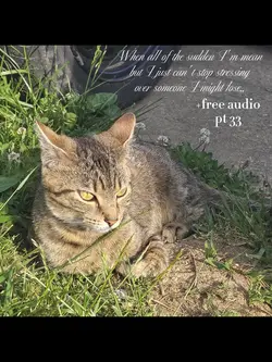free audio pt 33