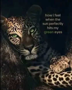 Green eyes☀️💚
