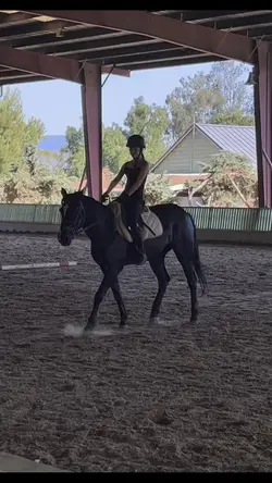Sitting trot