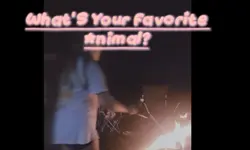 Floofy Camels