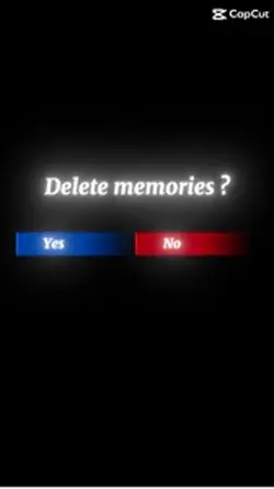 Delete all memories?