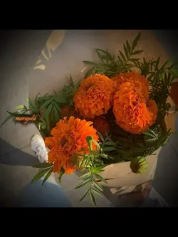 Marigold !!