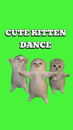 CUTE KITTEN DANCE 