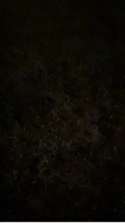 Fireworkss