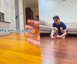 Tutorial 