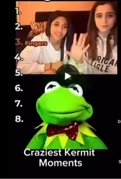 #kermit #omegle
