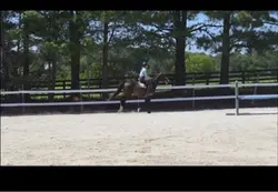 Clinic jumpies