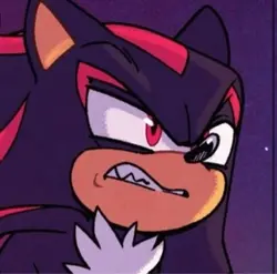 Shadow and Sonic