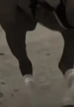 Western edit