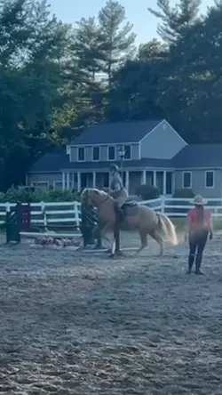 New horse jumping 