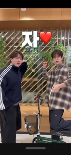 free fancam