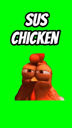 SUS CHICKEN 